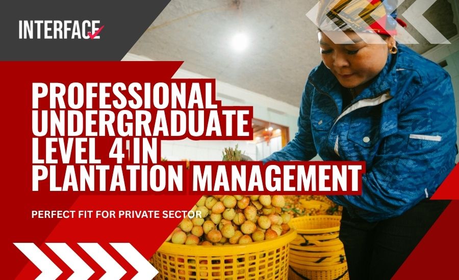 Professional Undergraduate Level 4 in Plantation Management